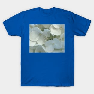 Field of Pure Potential T-Shirt